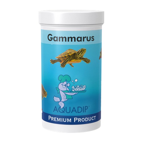 Gammarus easily absorbed - easily,