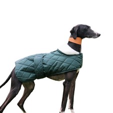 Ancol Muddy Paws Quilted Green