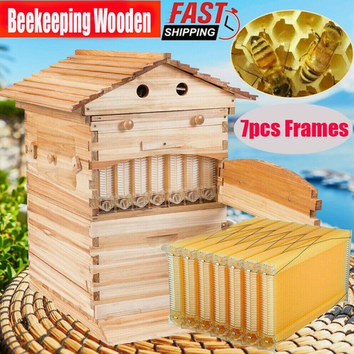 Auto beehive bee - auto, hives