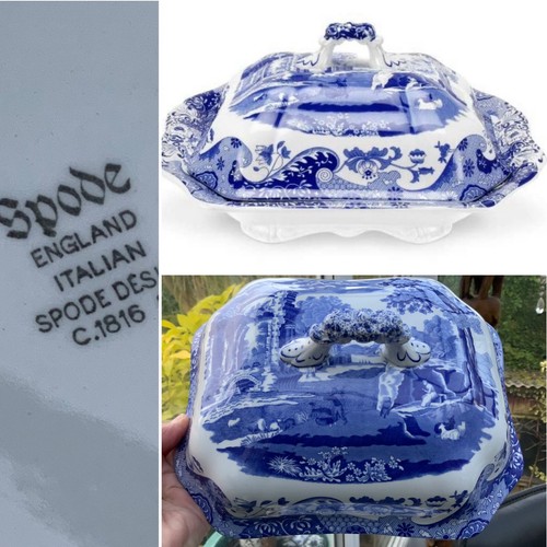 Rare spode vegetable - 👀rare,