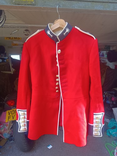Welsh guards british - welsh,