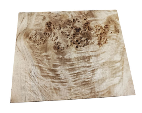 Big poplar burl - burl, wood,burl