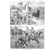 Stag Hunting in Surrey -