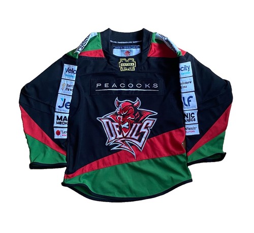 Cardiff devils ice hockey - ice,