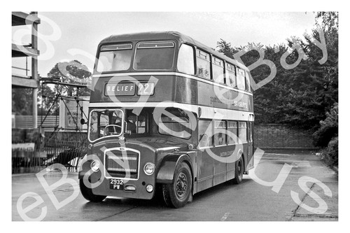 Bus photograph eastern - bus,