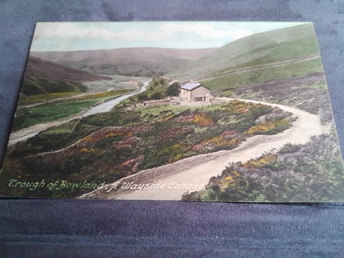 Trough bowland wayside - of, &