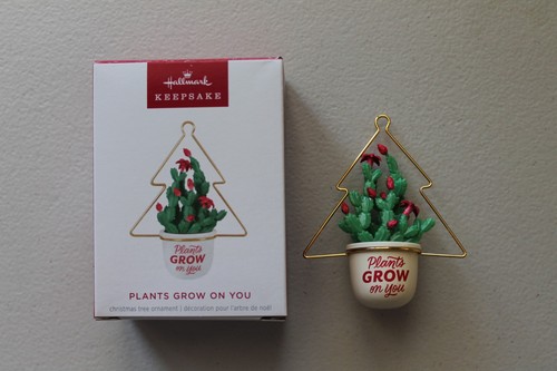 2025 nib hallmark - nib,
