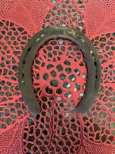 Vintage lucky horseshoe worn - vintage,