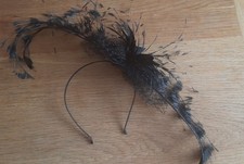 Large Feathered Fasinator