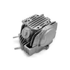 Genuine YX125 Pit Bike