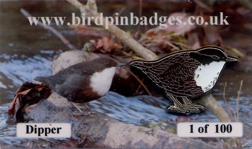 Dipper bird pin badge - dipper,