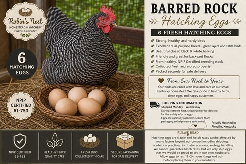 Robin nest barred - barred, rock