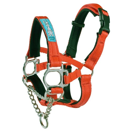 Big dog styles head - dog, collar