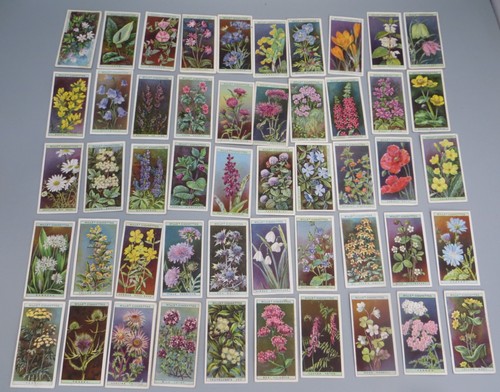 Wills cigarettes wild flowers - cigarettes,