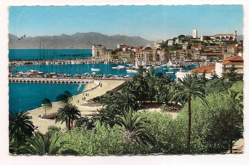 Cannes port suquet au - port,