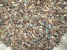 Natural paua abalone shell - natural,