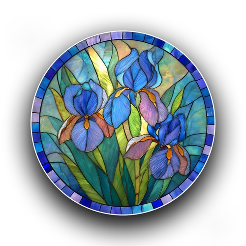 Blue iris flower - flower, spring