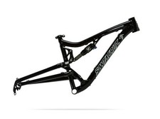 Frame Pivot Bearing Kit |