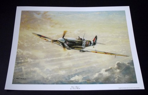 Aviation art print spitfire - -,