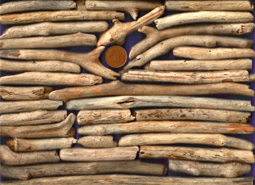 North sea driftwood - 34,