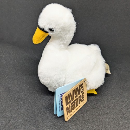 Living nature swan - (wild, fowl)