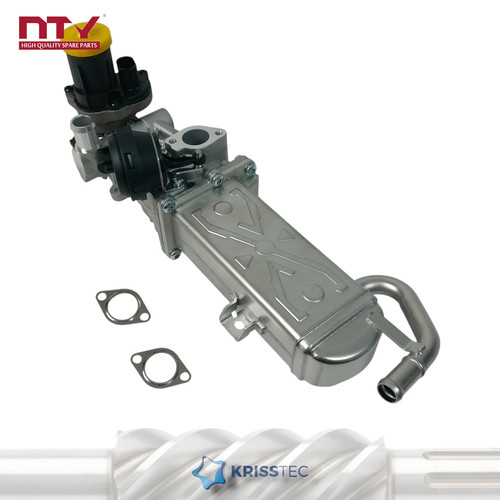 Egr cooler gas valve - egr,