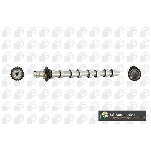 Bga engine camshaft - bga, intake