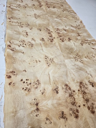 Natural poplar wood burl - natural,