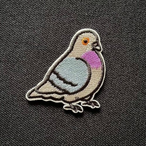 Homing pigeon bird - pigeon, high