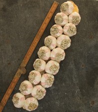 Large decorative Ceramic braid of Garlic, Manises, kitchen, Vintage 1960s