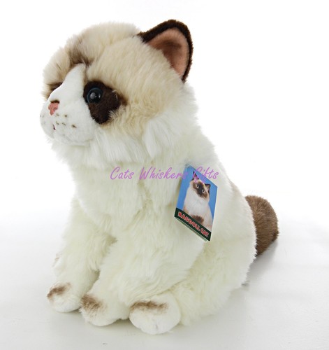 Ragdoll plush soft toy kitten - ragdoll,