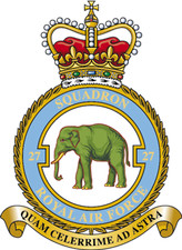 RAF 27 SQUADRON BADGE ON METAL
