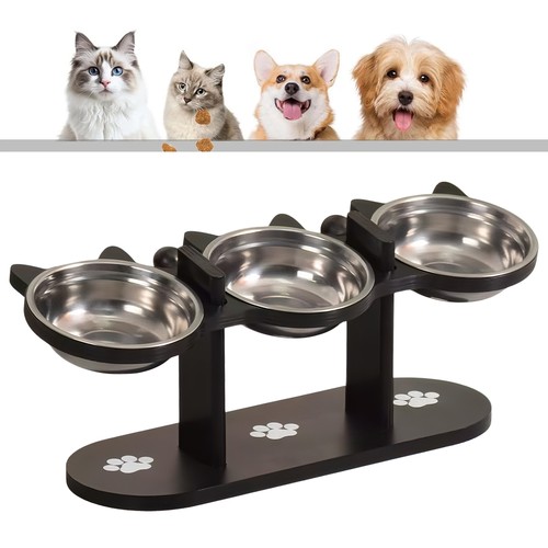 Cat dog food - cat, stand