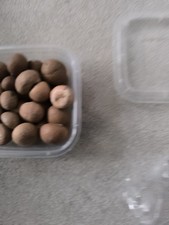 Betel Nut 200g