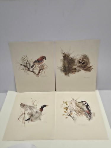 Mads stage bird print set - mads,