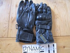 Dynamic Leather Motorbike