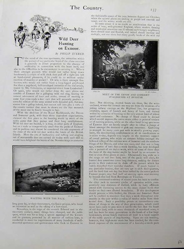 Antique old print - print, devon