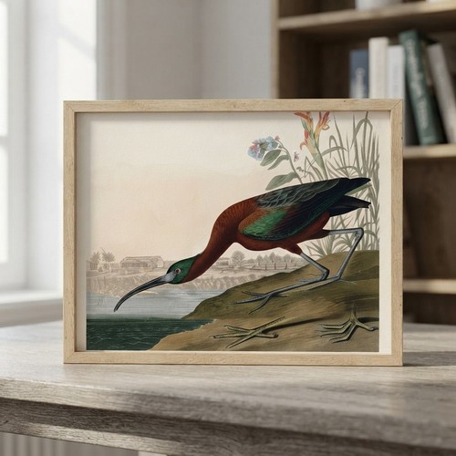 Luxurious vintage audubon - vintage,