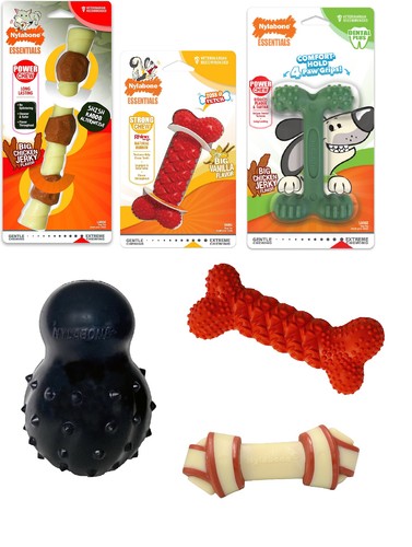 Nylabone dog toy - dog, chew