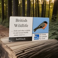 RSPB-Pin Badge British