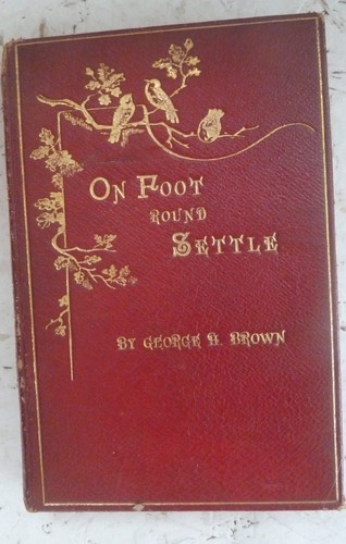 Antique book 1896 foot - on,