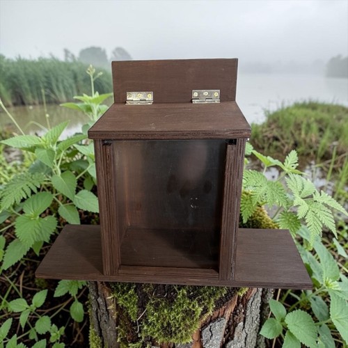 Squirrel feeder station - squirrel, house