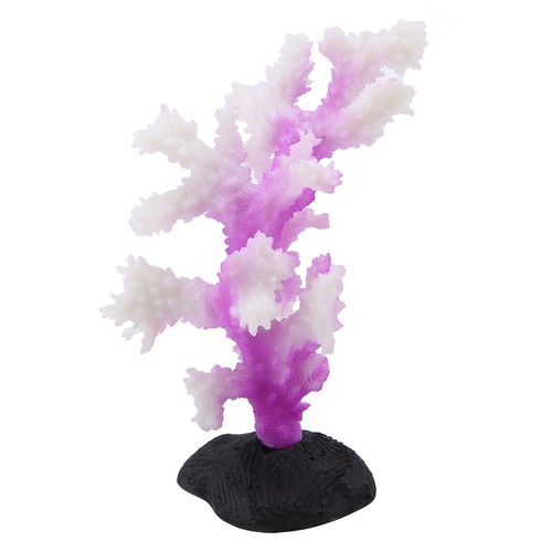 Purple luminous coral anemone - coral,