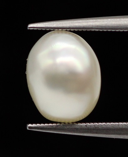 Natural saltwater pearl - natural, x