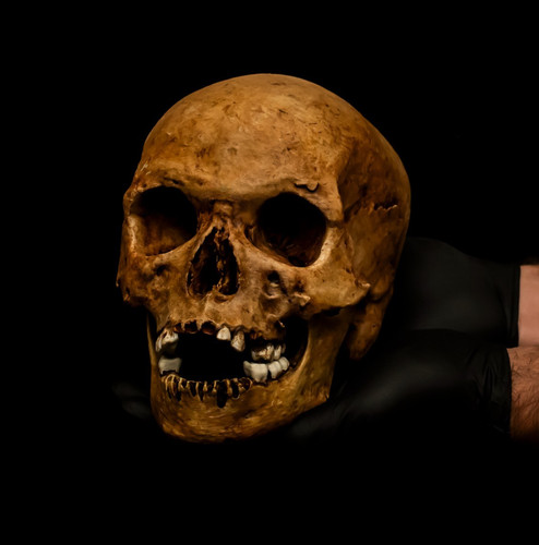 Hand painted human - skull, art