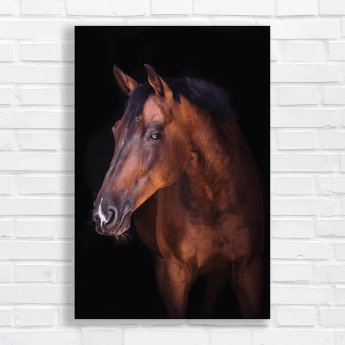 Powerful chestnut horse - powerful,