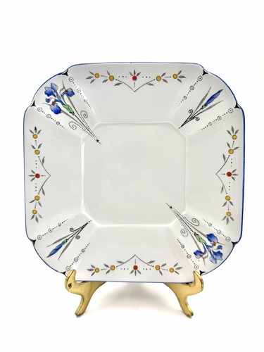Shelley blue iris - iris, underplate