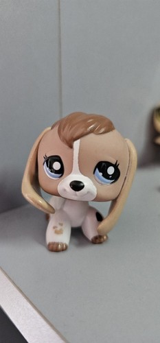Littlest pet shop - shop, beagle