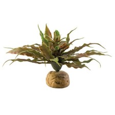Exo Terra Star Terrarium Cactus Reptile Vivarium Decor Plastic Plant