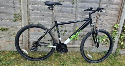 Mountain bike raleigh - mountain, venture